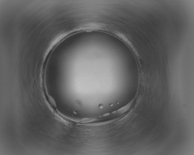 X0000051861477200506241308