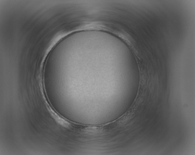 X0000051861478200506241308