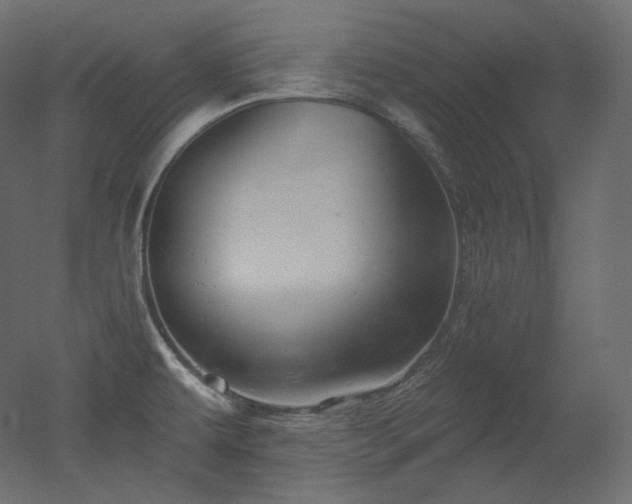 X0000051861479200506241308