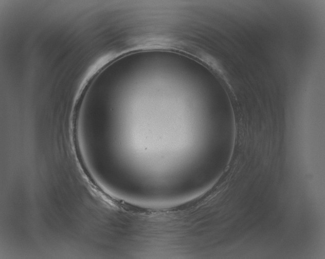 X0000051861480200506241308