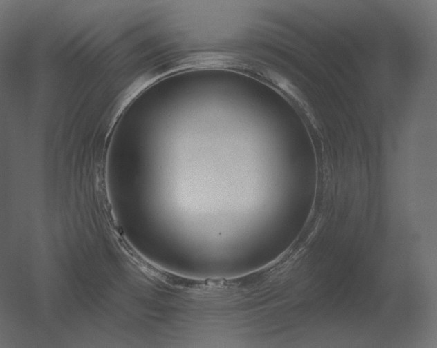 X0000051861481200506241308