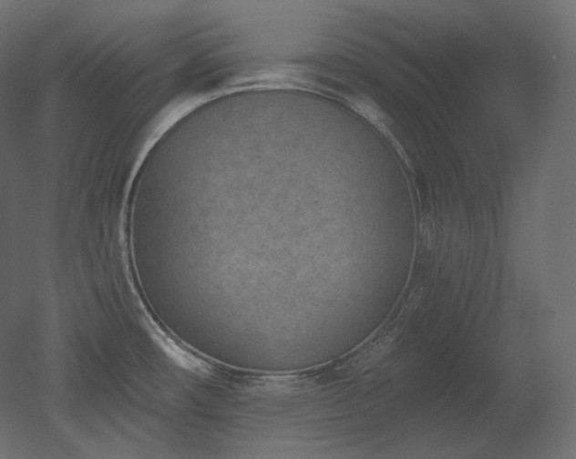 X0000051861482200506241308