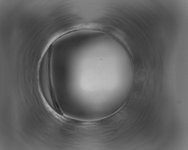 X0000051861483200506241308