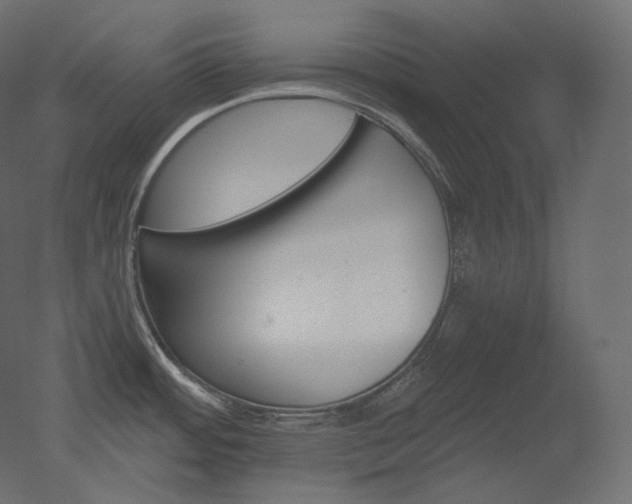 X0000051861484200506241308