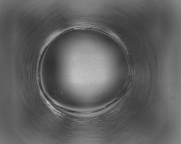 X0000051861485200506241308