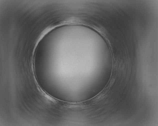 X0000051861486200506241308