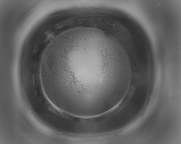 X0000051861487200506241308