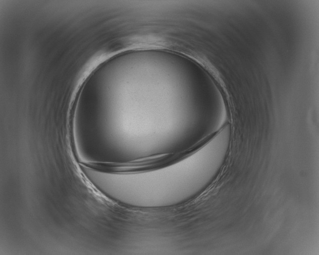 X0000051861488200506241308