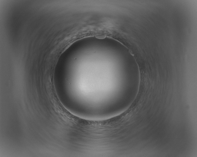 X0000051861489200506241307