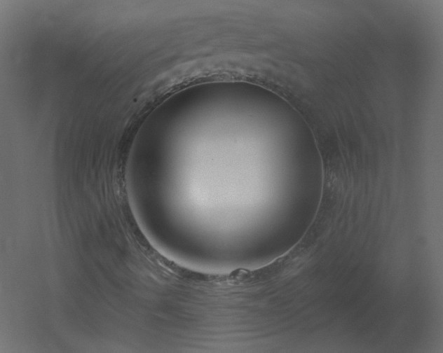 X0000051861490200506241307