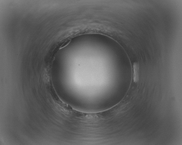 X0000051861491200506241307