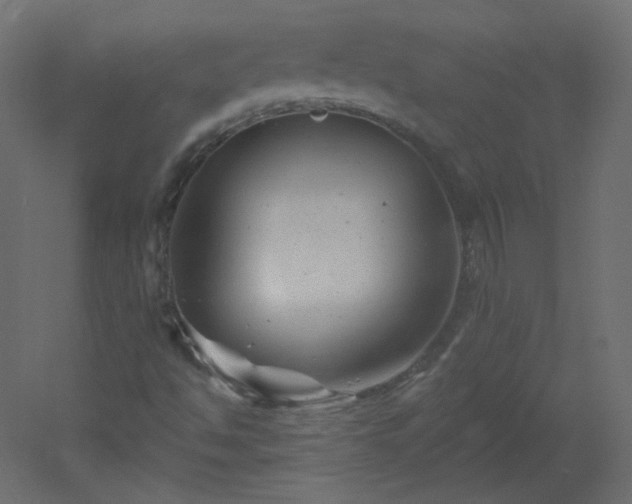 X0000051861494200506241307