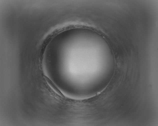 X0000051861495200506241307