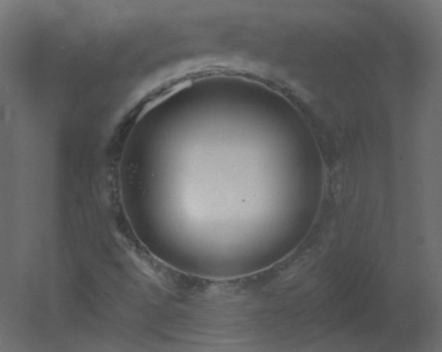 X0000051861496200506241307