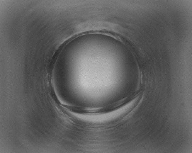 X0000051861497200506241307