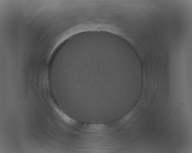 X0000051861498200506241307