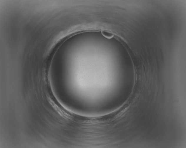 X0000051861499200506241307