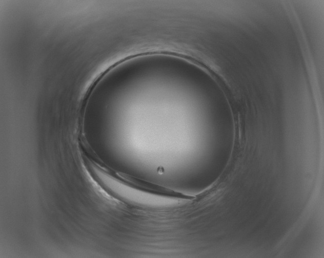 X0000051861500200506241307