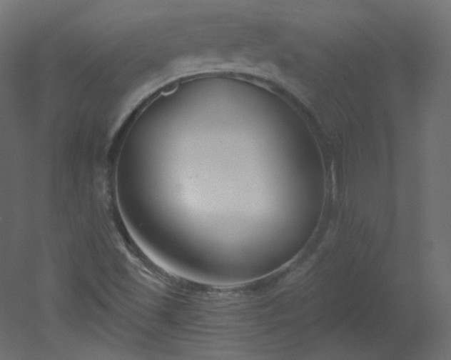 X0000051861501200506241307