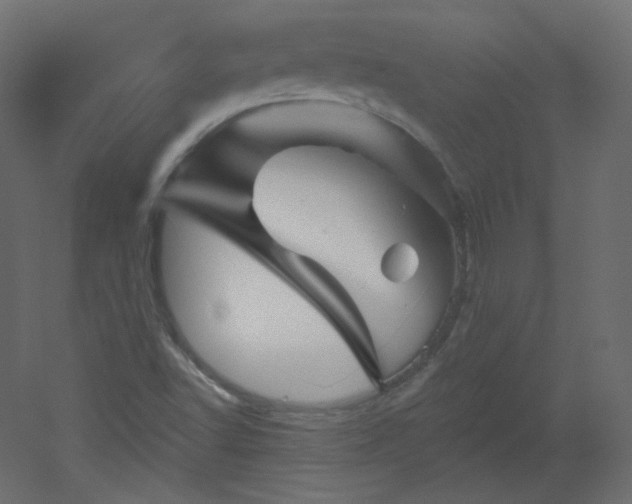 X0000051861502200506241307