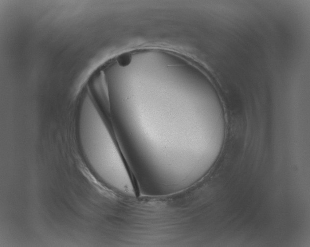 X0000051861503200506241307