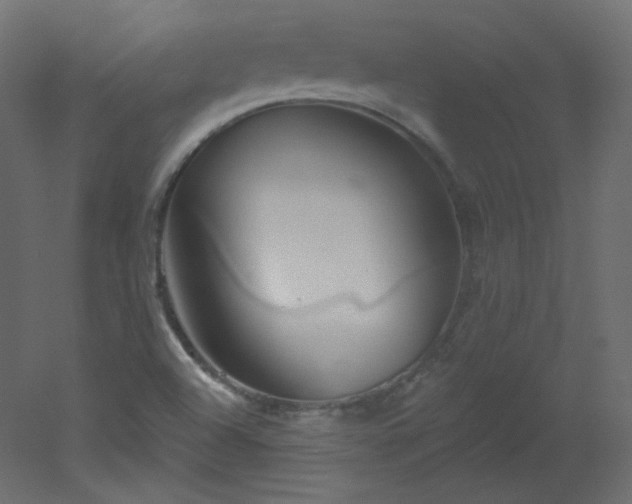 X0000051861504200506241307