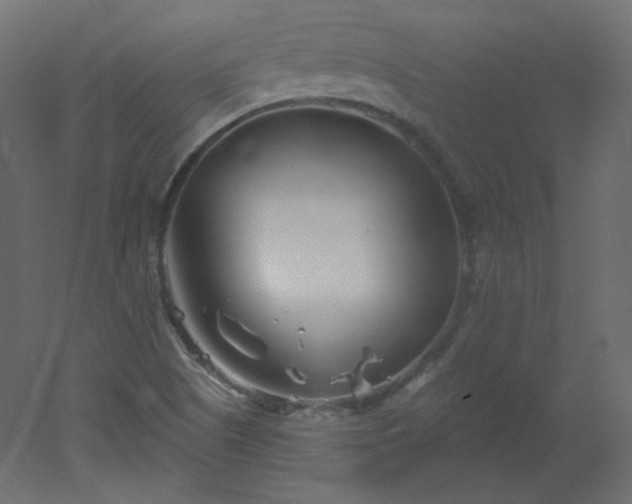 X0000051861505200506241307