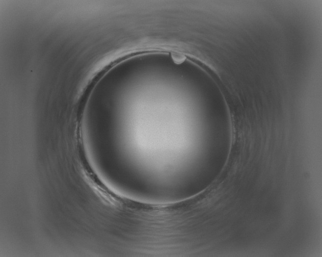 X0000051861507200506241307