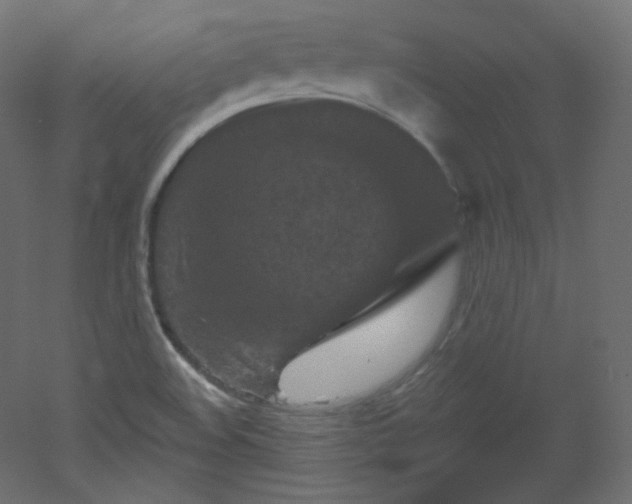 X0000051861508200506241307