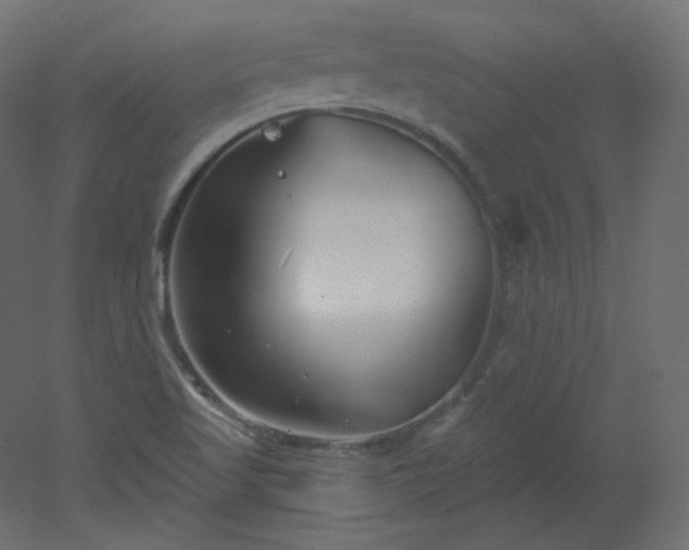 X0000051861509200506241307