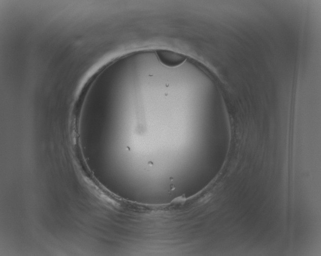 X0000051861510200506241307