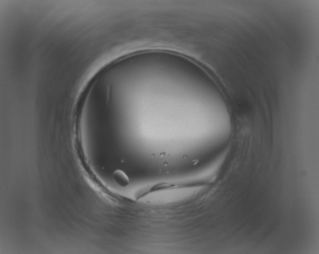 X0000051861511200506241307