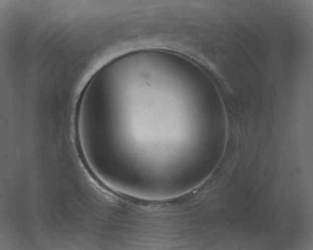 X0000051861512200506241307