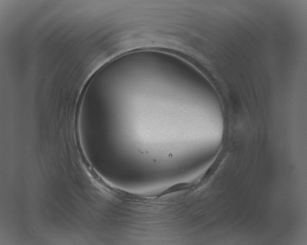 X0000051861513200506241307