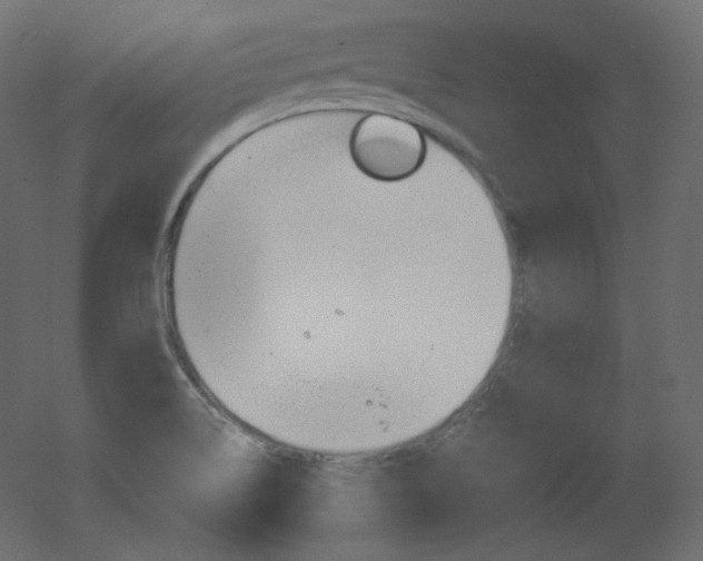 X0000051861514200506241307