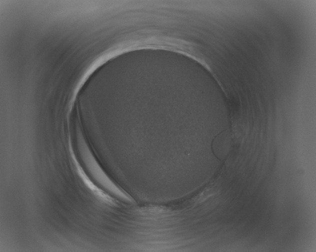 X0000051861515200506241307