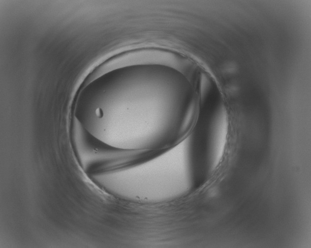 X0000051861516200506241307