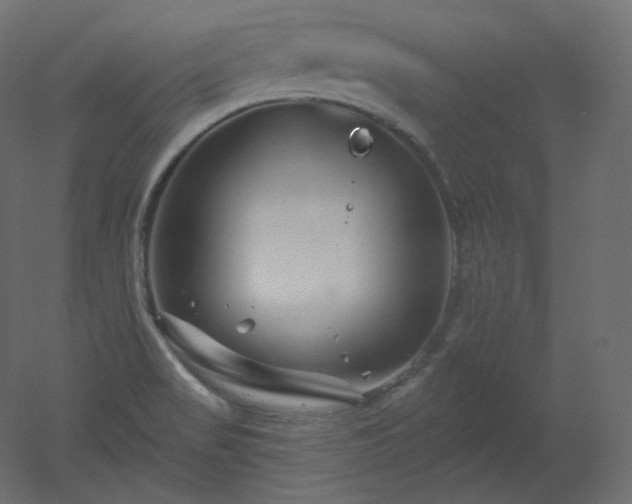 X0000051861517200506241307