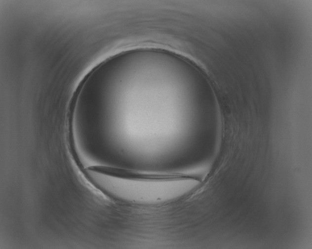 X0000051861518200506241307