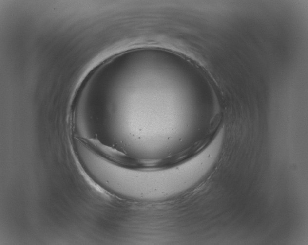 X0000051861519200506241307