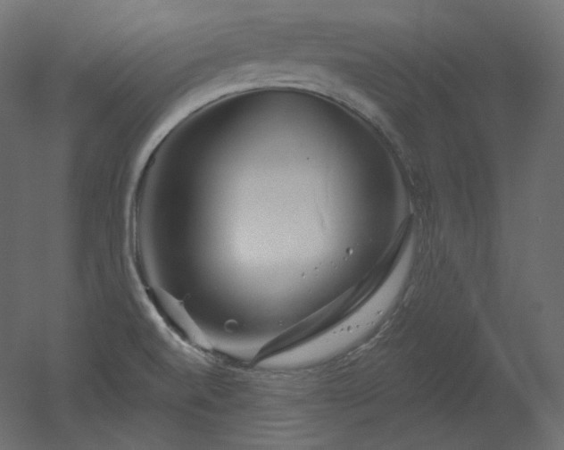 X0000051861520200506241307