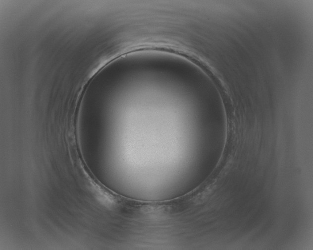 X0000051861521200506241307