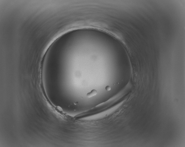 X0000051861524200506241307