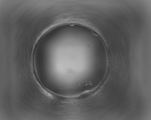 X0000051861525200506241307