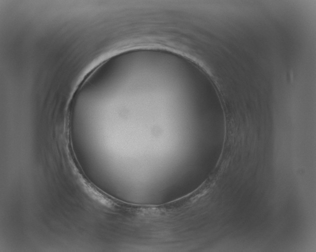 X0000051861526200506241307