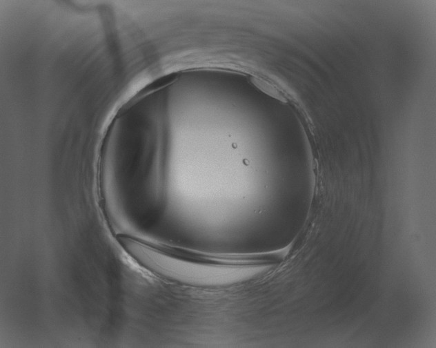 X0000051861528200506241307