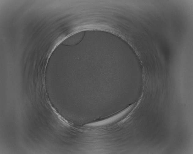 X0000051861529200506241308