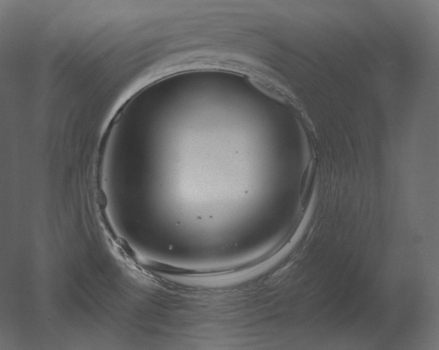 X0000051861530200506241308