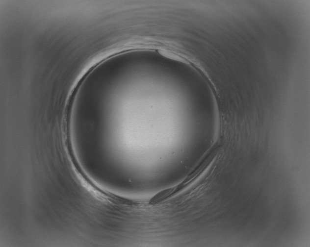 X0000051861531200506241308