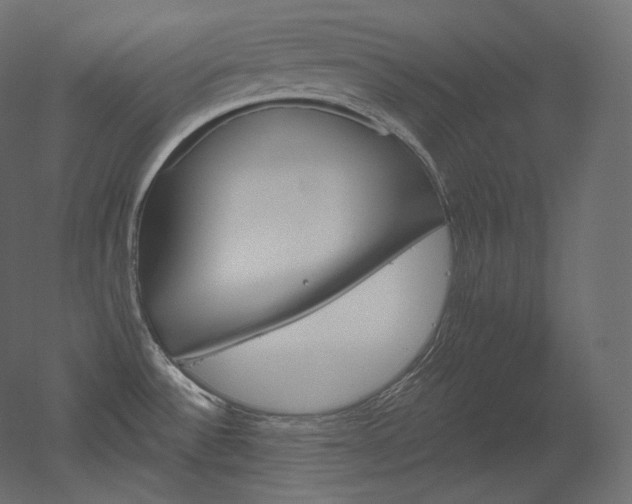 X0000051861532200506241308